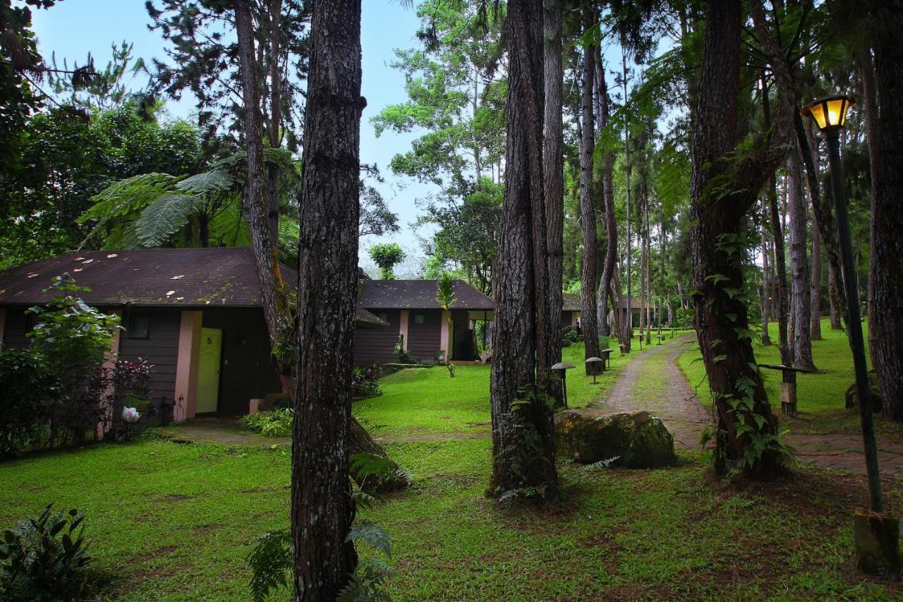 Eden Nature Park y resort Davao Exterior foto